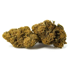 ACHETER DES FLEURS DE CBD EN PACA